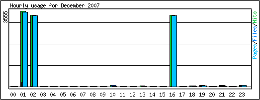 Hourly usage
