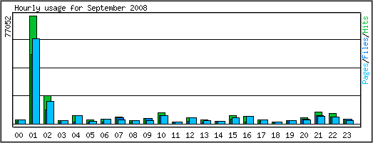 Hourly usage