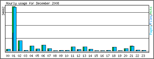 Hourly usage