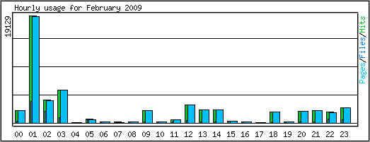 Hourly usage
