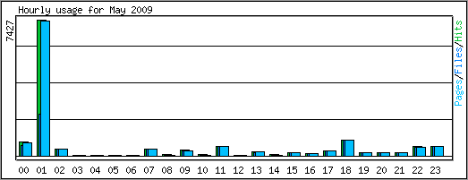 Hourly usage