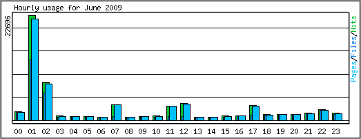 Hourly usage