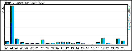 Hourly usage