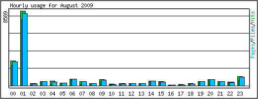 Hourly usage