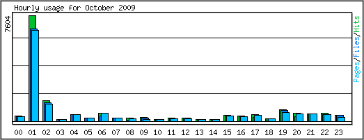 Hourly usage