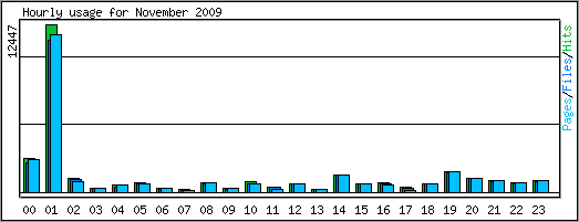 Hourly usage