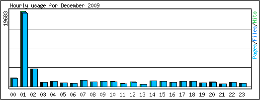 Hourly usage
