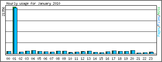 Hourly usage