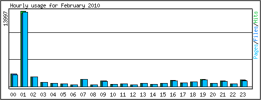Hourly usage