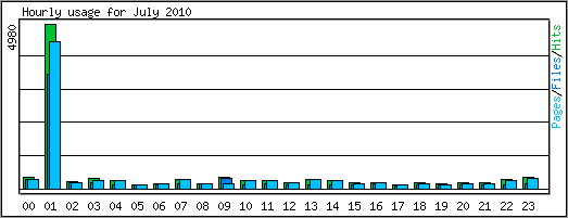 Hourly usage