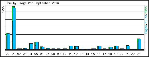 Hourly usage