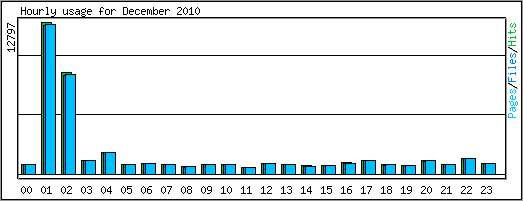 Hourly usage