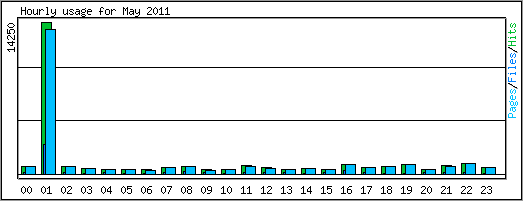 Hourly usage