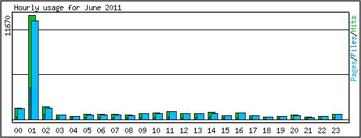 Hourly usage