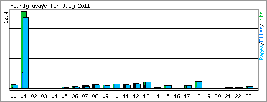 Hourly usage