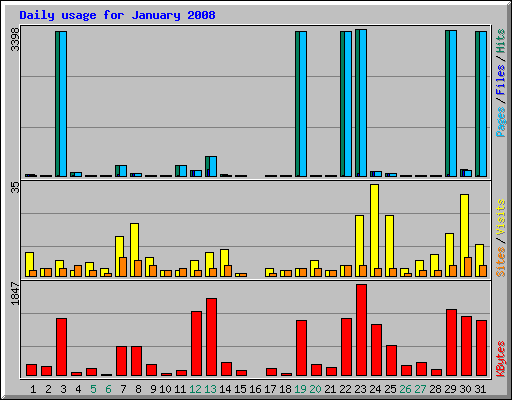 Daily usage for January 2008