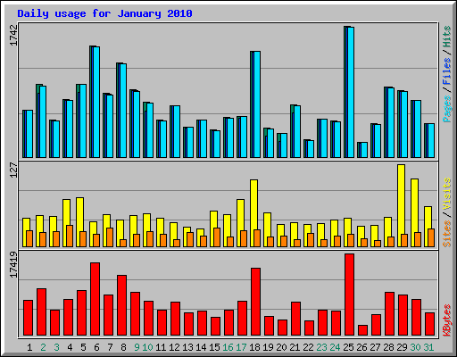 Daily usage for January 2010