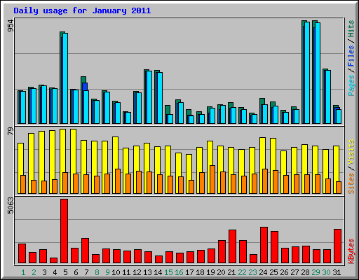 Daily usage for January 2011