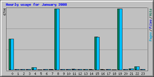 Hourly usage for January 2008