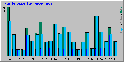 Hourly usage for August 2008