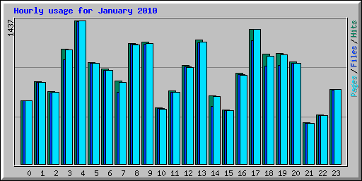 Hourly usage for January 2010
