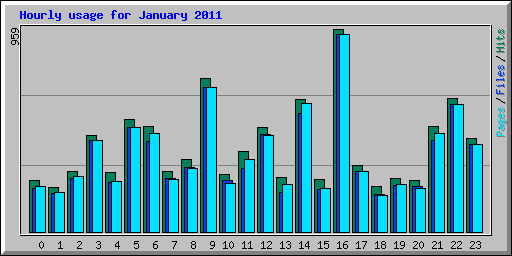 Hourly usage for January 2011